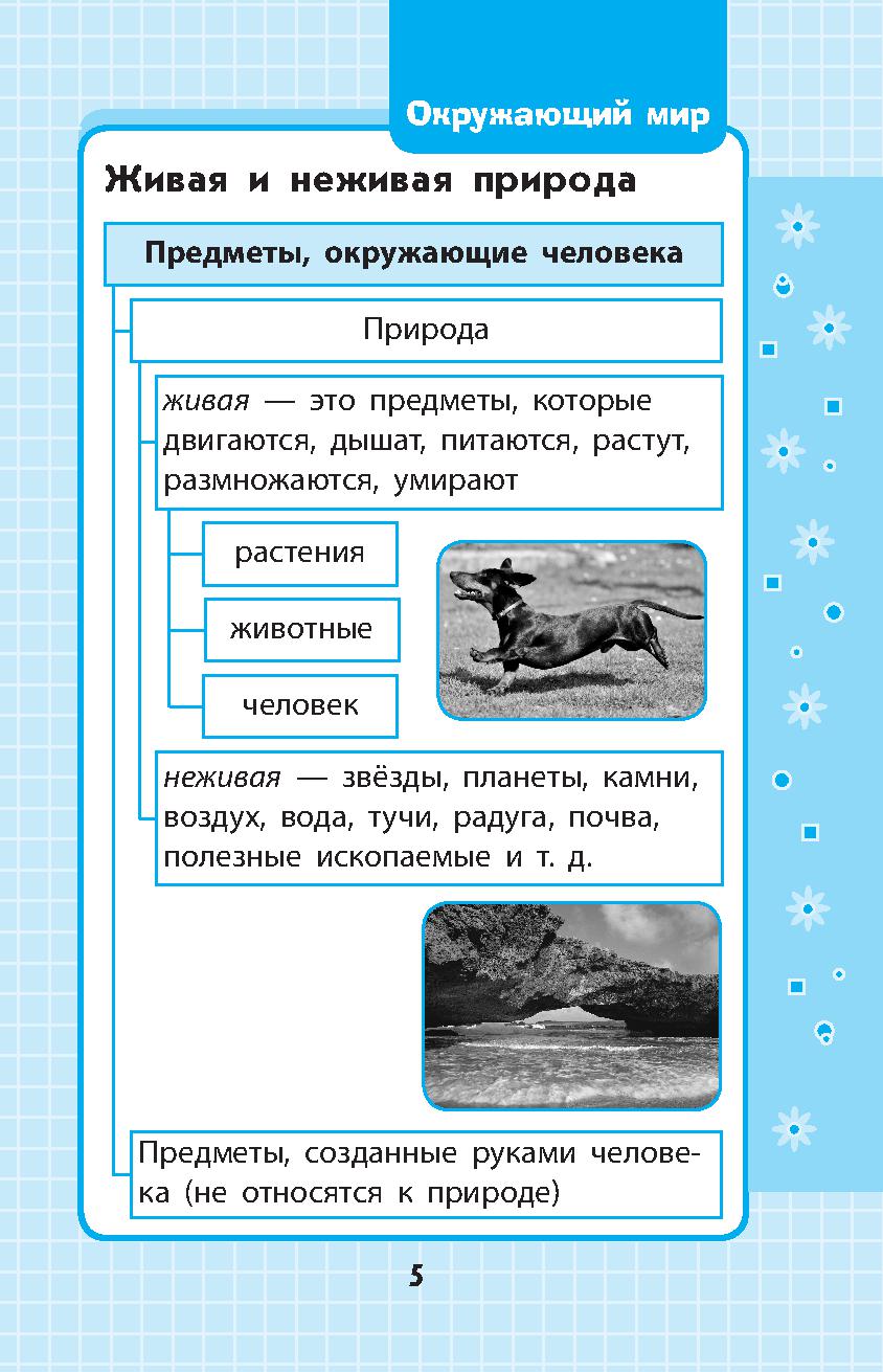 Окружающий мир страничка 14 - Telegraph