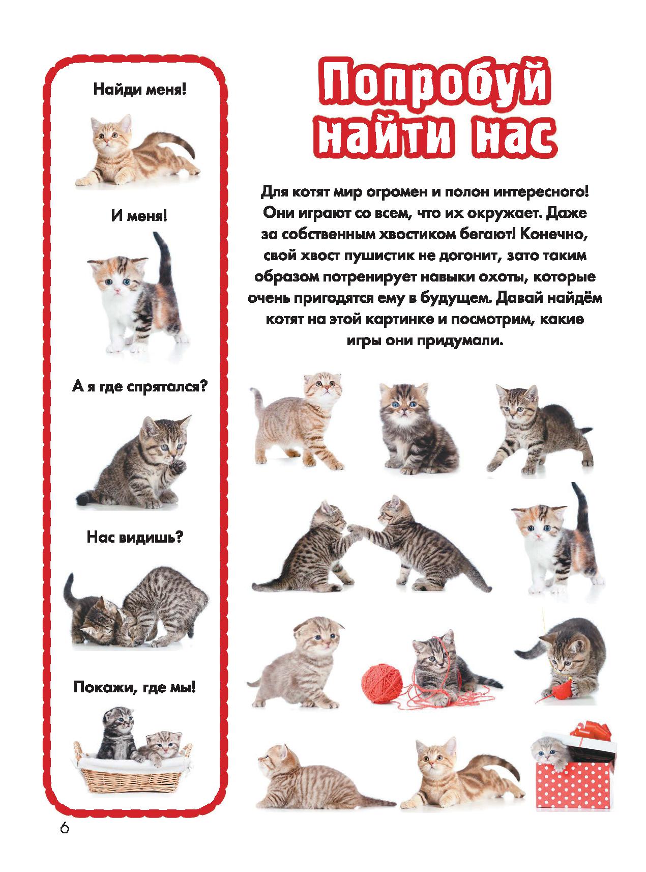 Имена котам мальчикам русские