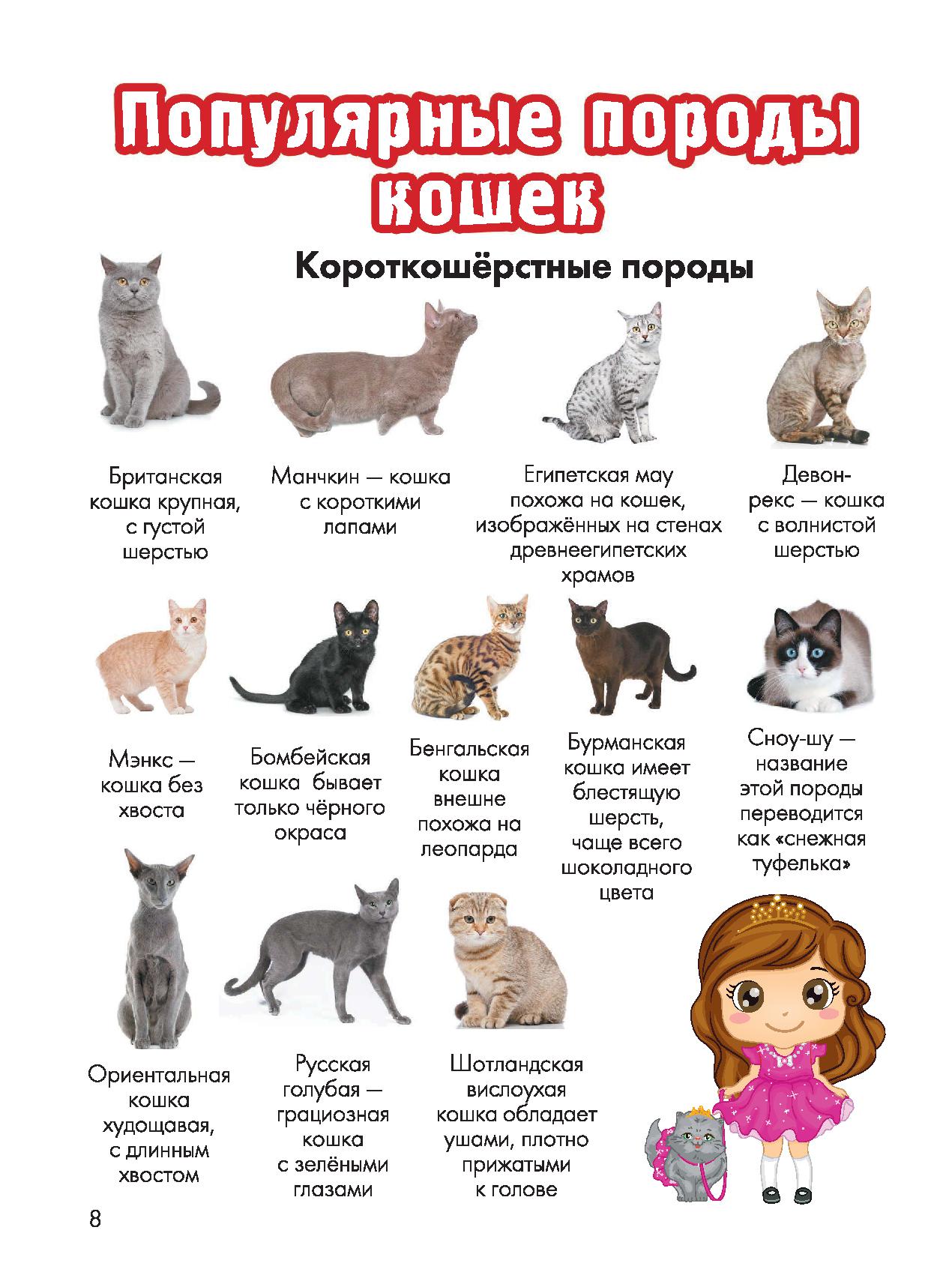 Узнать покажи