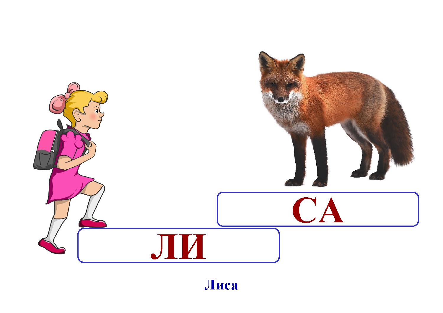 Анализ слова лиса. Схема слова лиса. Схема слова лисица 1 класс. Слова лисы. Звуковая модель слова Лисичка.