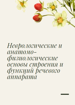 Неврологические и анатомо-физиологические основы строения и функций речевого аппарата