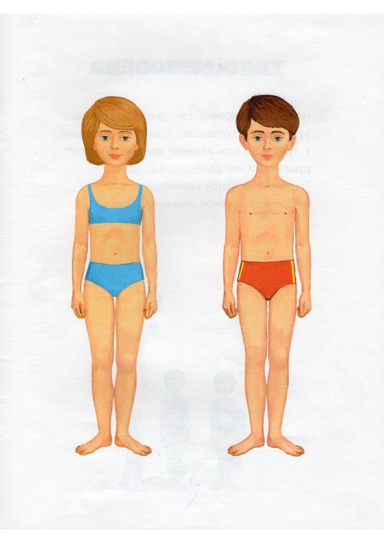 Различие половых органов. Тело человека для детей. Тело человечка для детей. Фигура мальчика и девочки. Строение тела для детей.