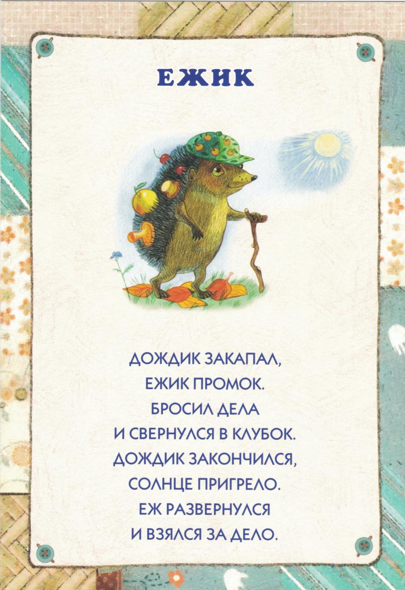 Стих ежа. Стихи про ежика для детей. Детские стихи про ежика. Детские стишки для малышей. Стишки про ежика для детей.