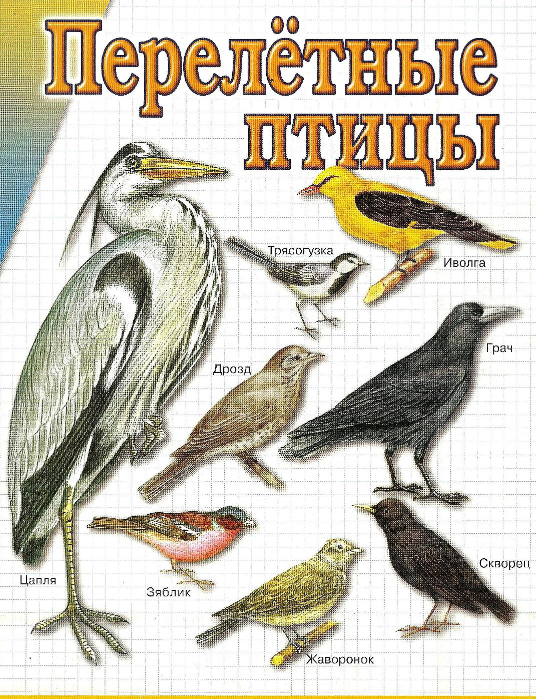 Файлы из библиотеки