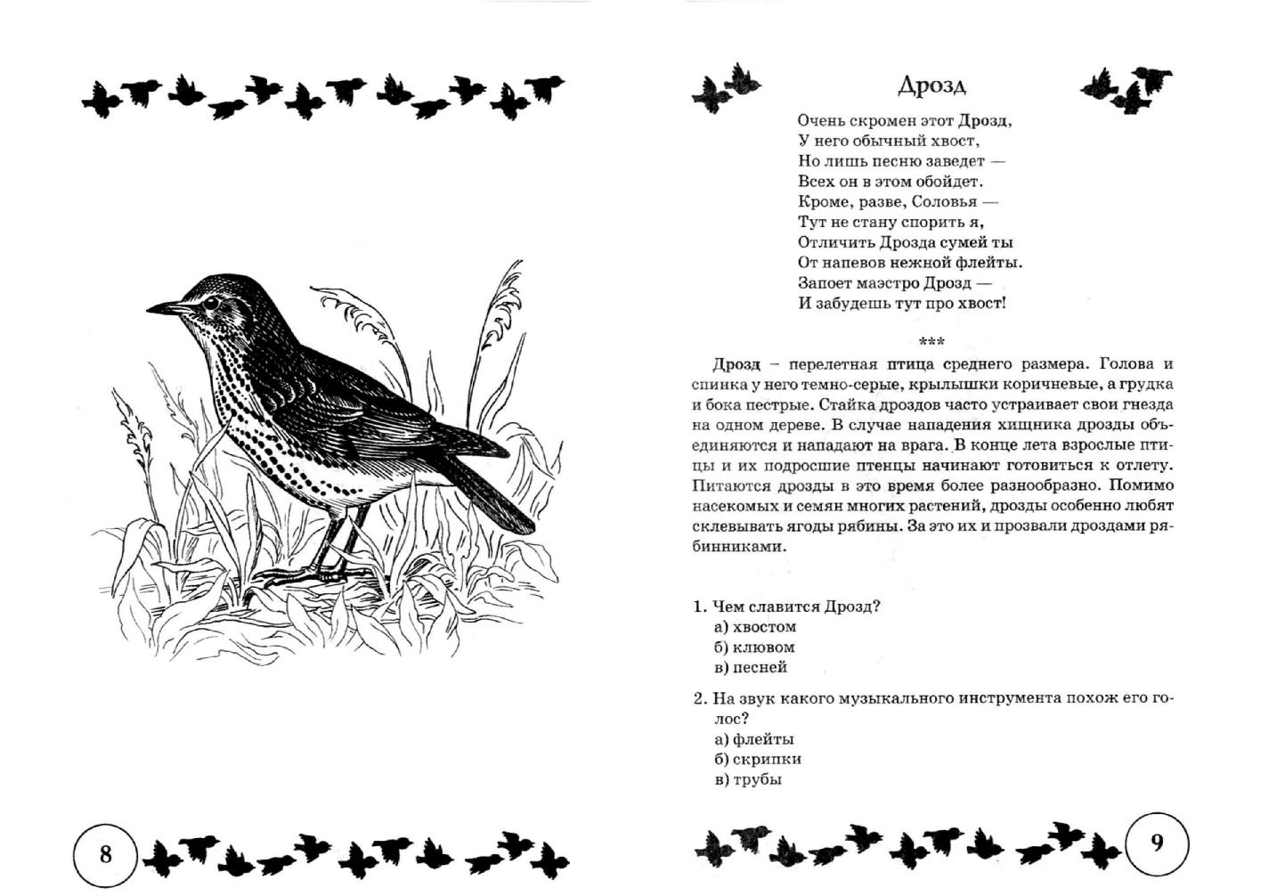 Дрозды песня хата. Стишок про дрозда. Стихотворение про Дроздов. Стих про дрозда. Загадка про дрозда для детей.