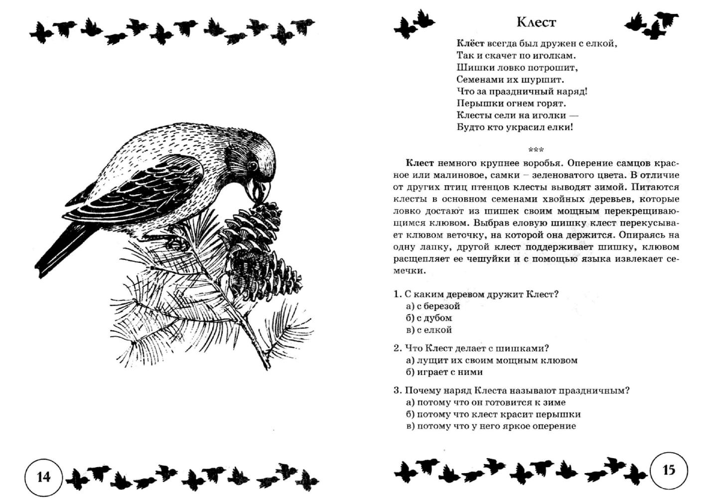 Загадки Про Клеста