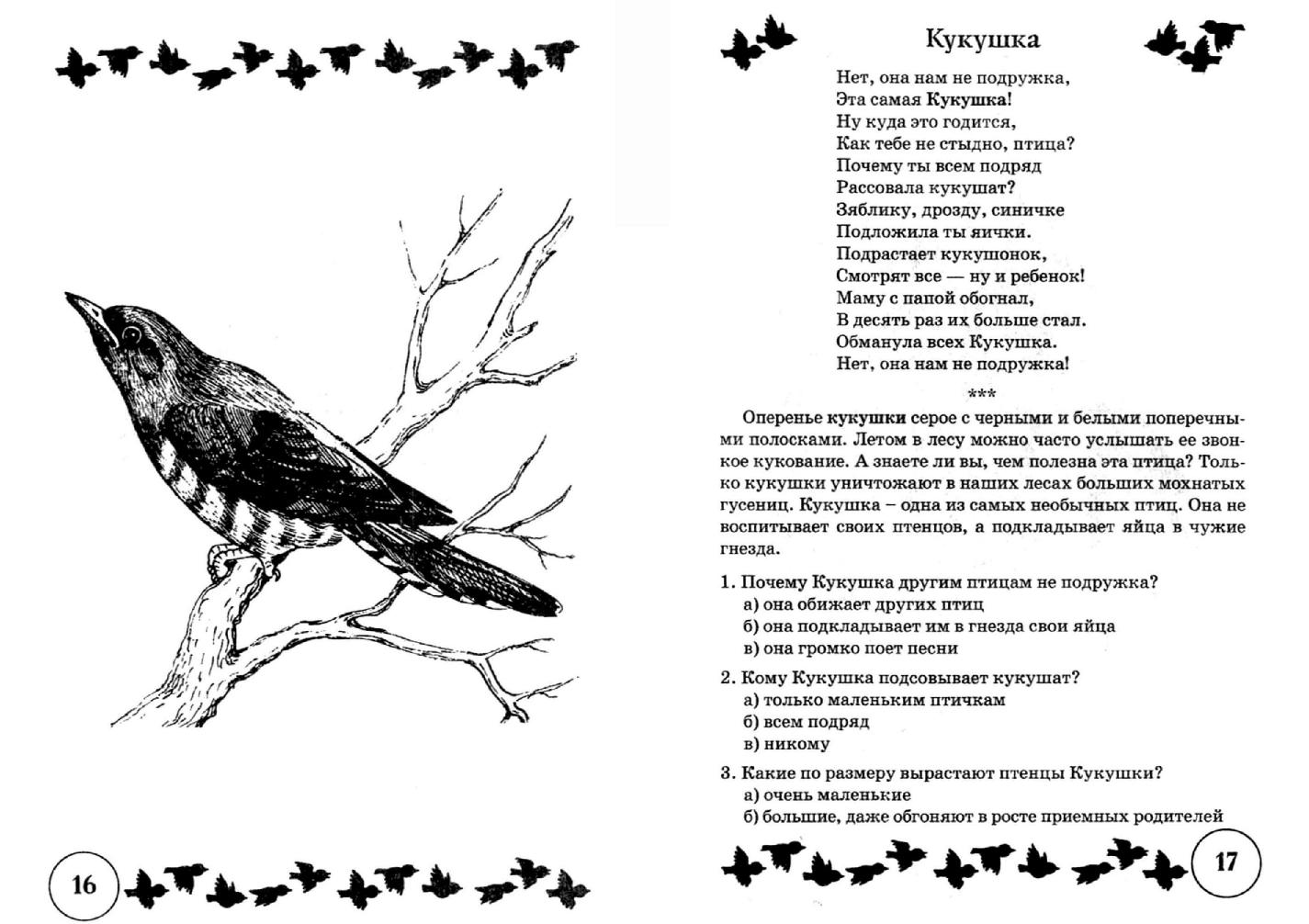 На какое стихотворение похоже стихотворение кукушка. Стихи и речевые упражнения по теме "птицы".. Стих Кукушка. Доклад про птиц. Задание про кукушку.