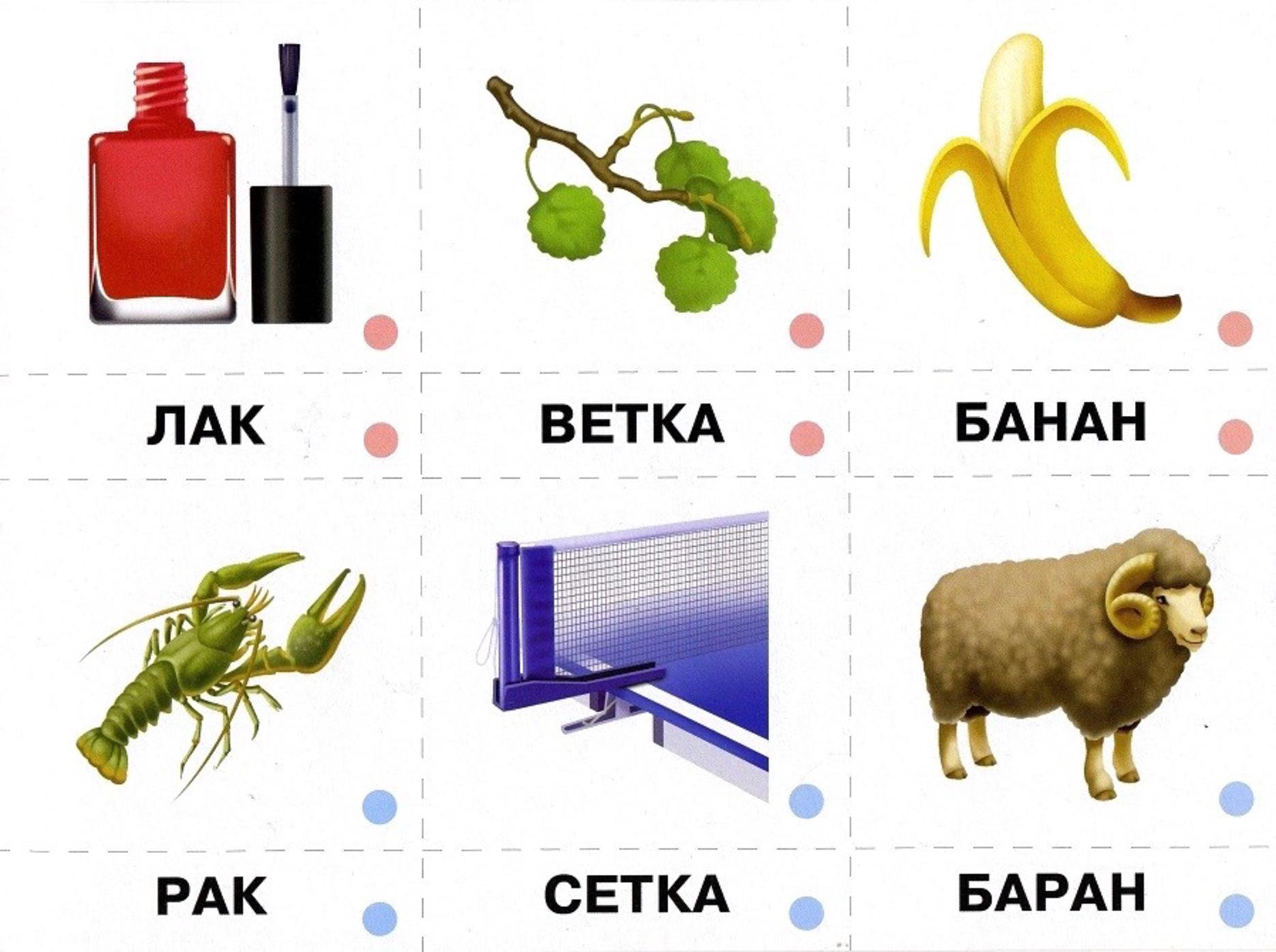 Слова На С Картинки Для Детей