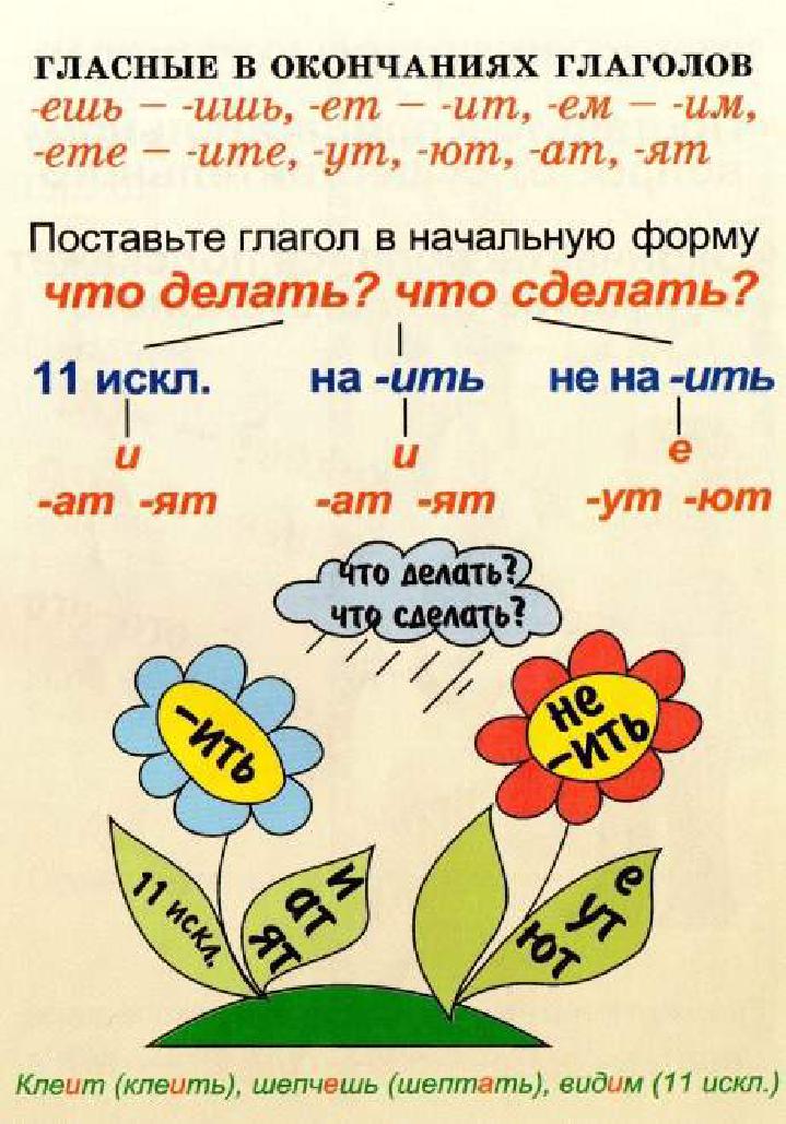 Русский язык в картинках и схемах распечатать