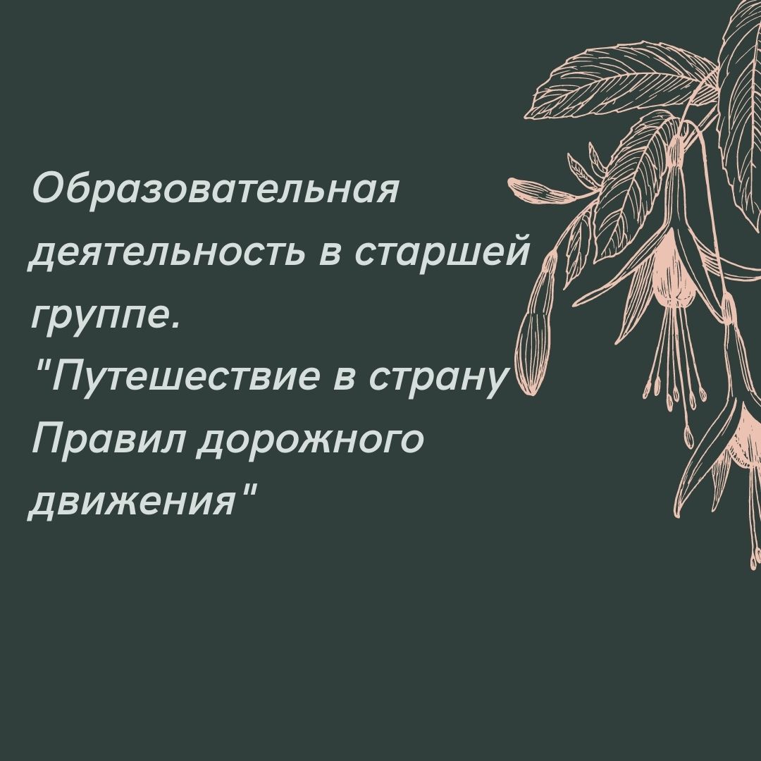 Образовательная деятельность в старшей группе. 