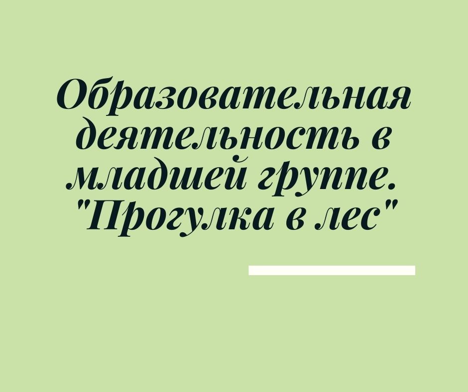 Образовательная деятельность в младшей группе. 