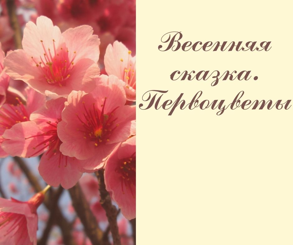 Файлы из библиотеки