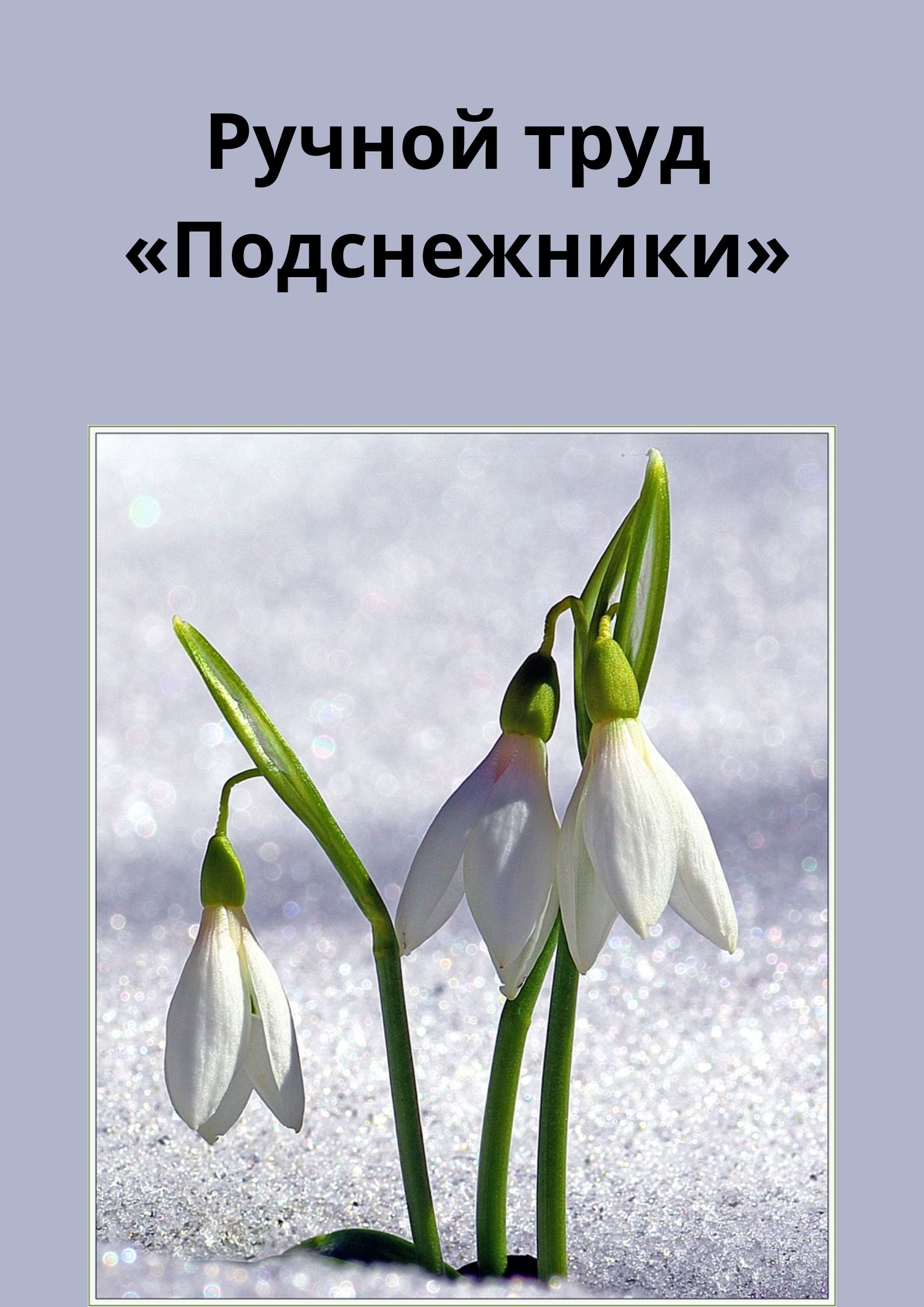 Песня лишь только подснежник распустится в срок. Ручной труд подснежник. мэрцишор подснежник. букетик подснежников. подснежники по английски.