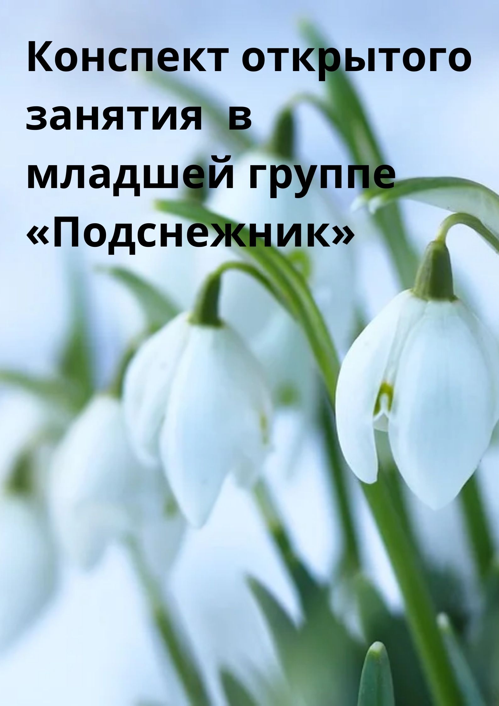 Конспект открытого занятия  в младшей группе «Подснежник»