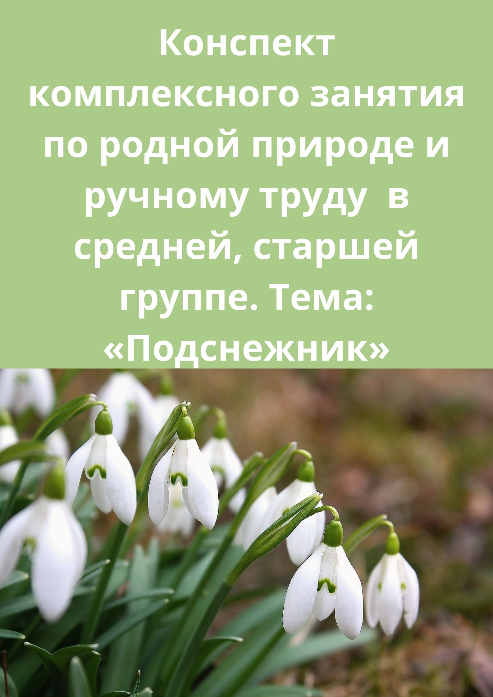 Конспект комплексного занятия по родной природе и ручному труду в средней,  старшей группе. Тема: «Подснежник» | Дефектология Проф