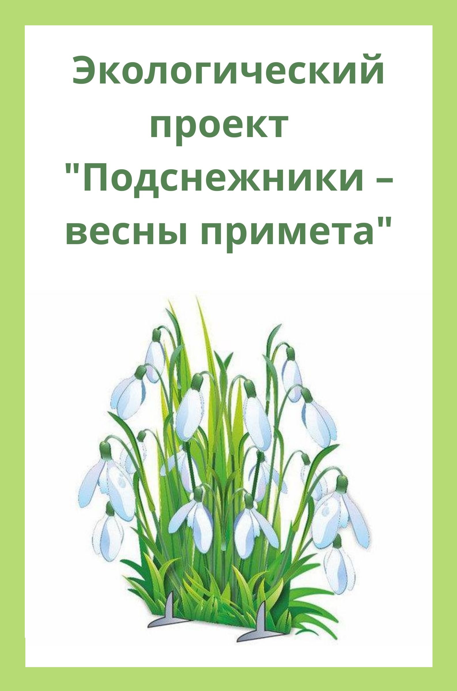 Экологический проект  