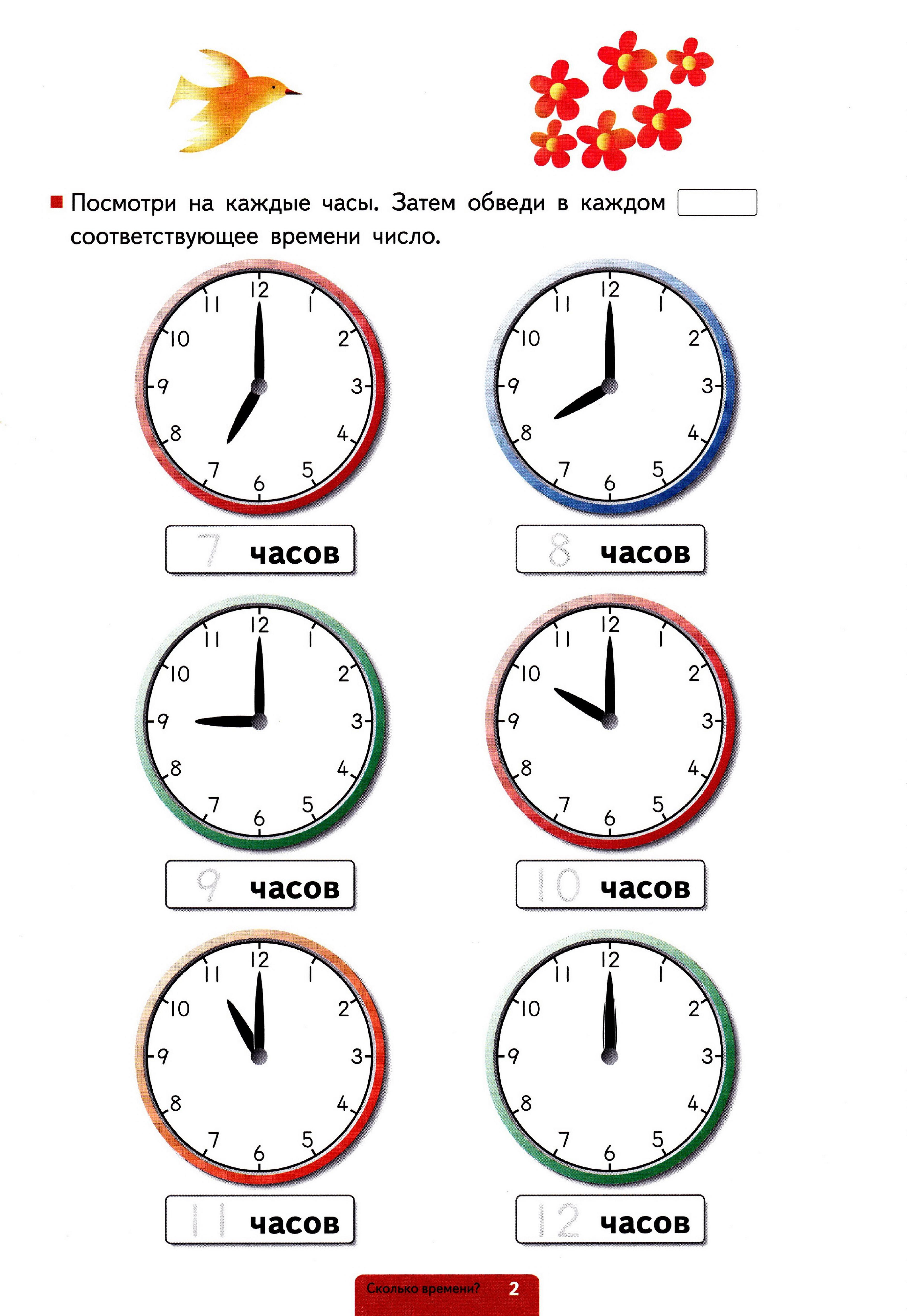 Как научиться определять часы