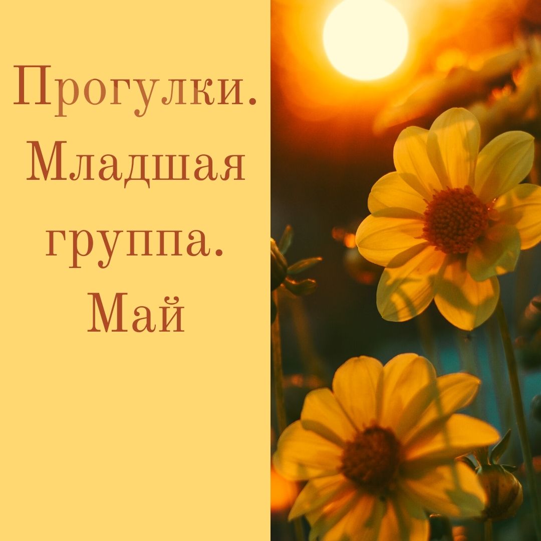 Прогулки. Младшая группа. Май