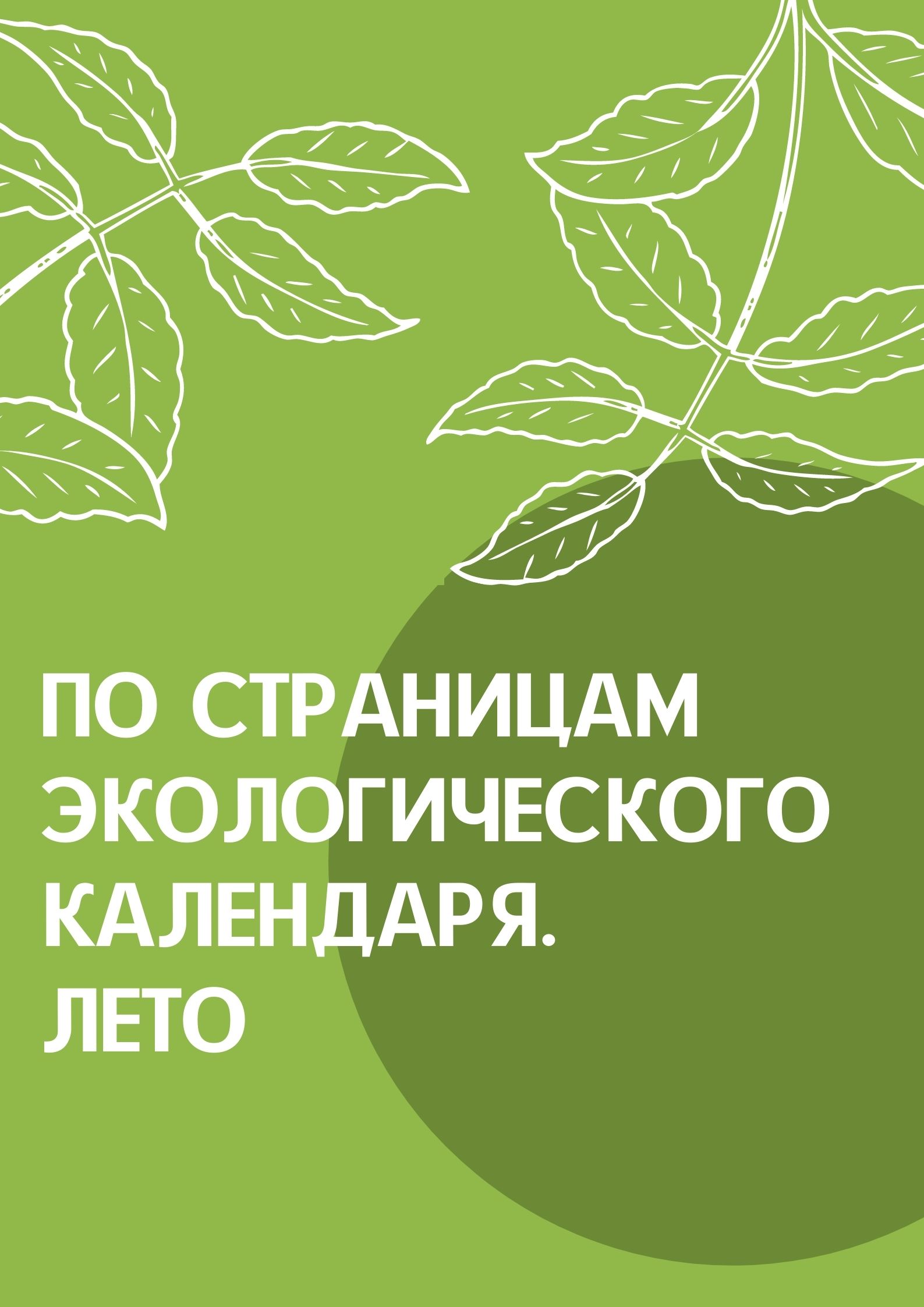 По страницам экологического календаря. Лето