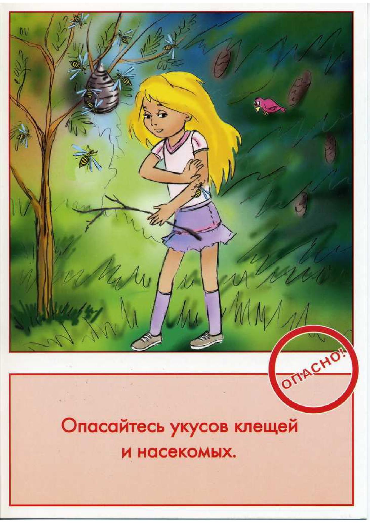 Картинки безопасность в лесу