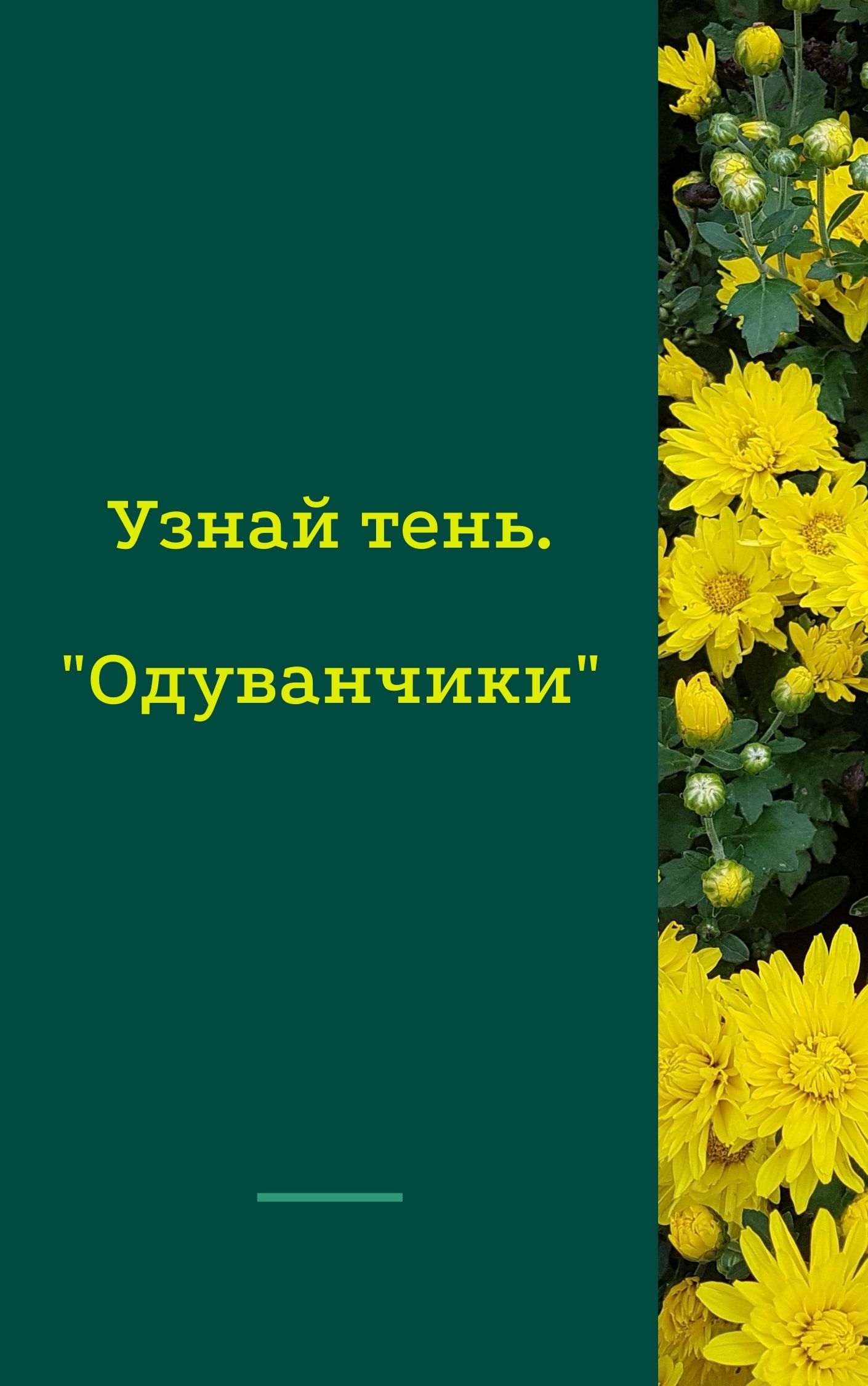 Узнай тень. 