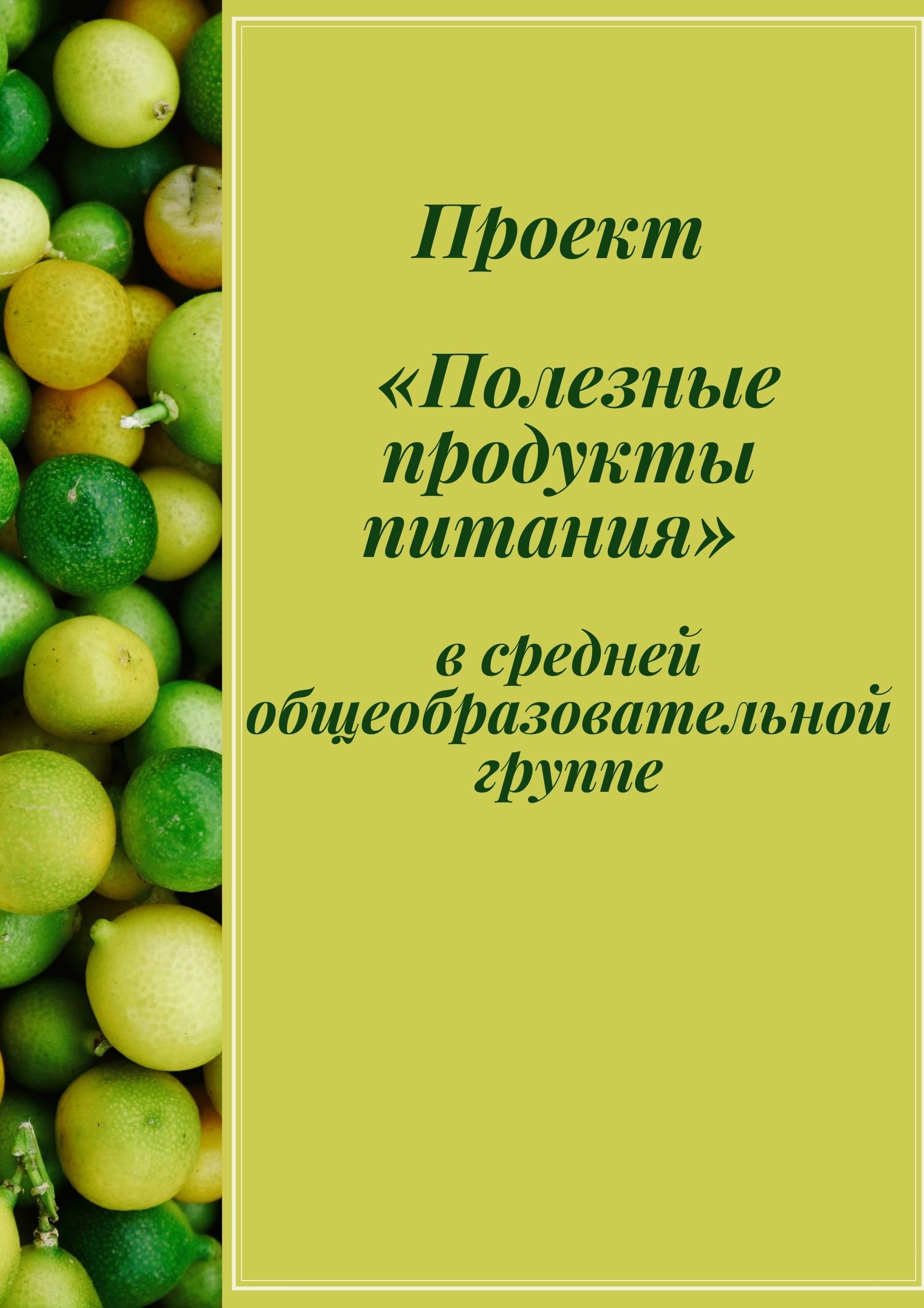 Проект  «Полезные продукты питания»  в средней общеобразовательной группе
