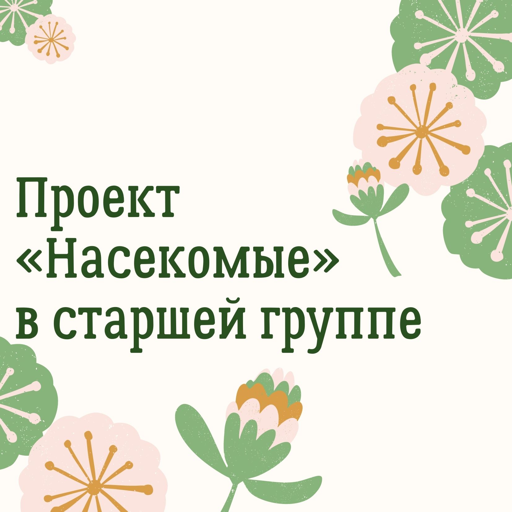 Проект «Насекомые» в старшей группе
