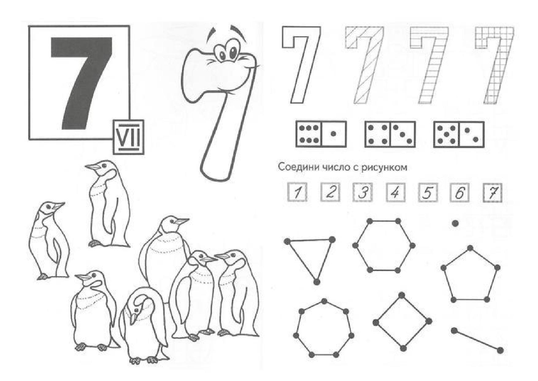Число работы 7. Состав числа 7 задания для дошкольников. Цифра 7 состав числа задания для дошкольников. Число 7 цифра 7 задание для дошкольников. Число 7 состав числа задания для дошкольников.