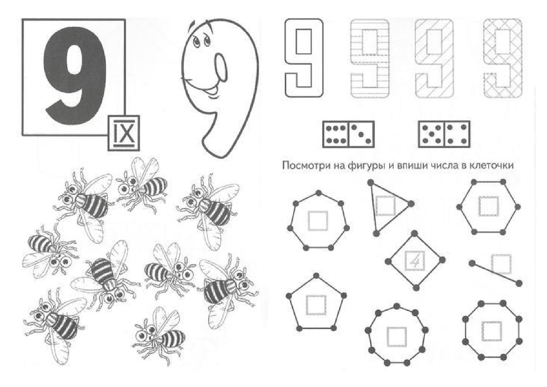Рабочий лист 9. Число 9 задания. Число 9 для дошкольников. Число 9 задания для дошкольников. Задания на изучение цифры 9.