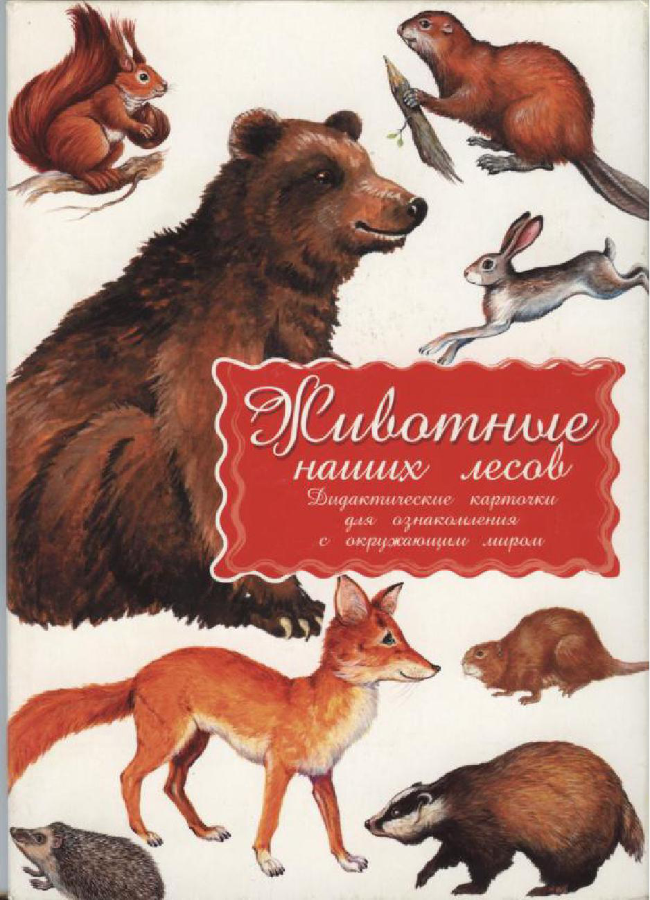 Дидактические карточки. Животные наших лесов