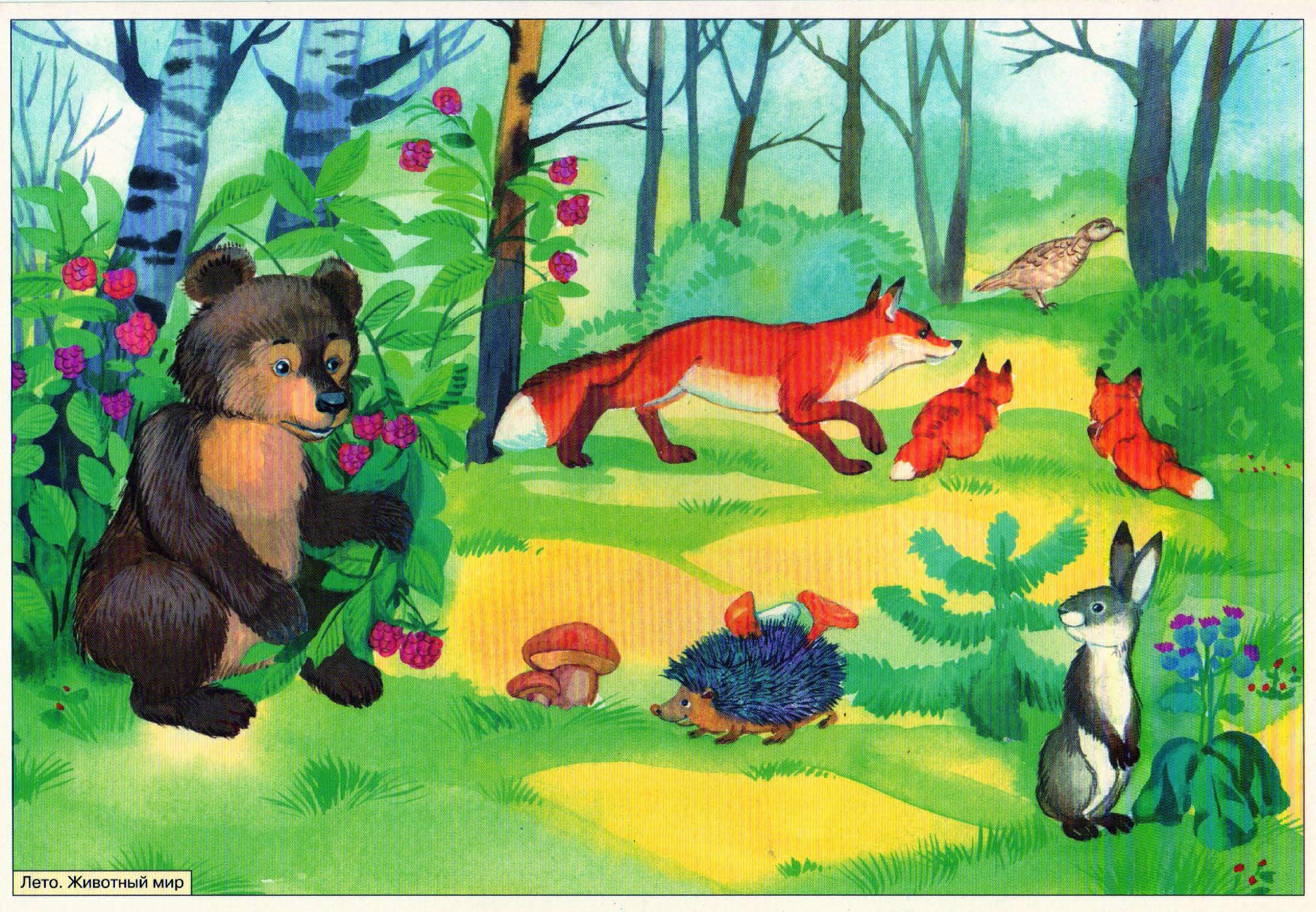 Детский сад для зверей. Звери в лесу. Сюжетные картины для детей. Звери в лесу для детей. Лес для детей дошкольного возраста.