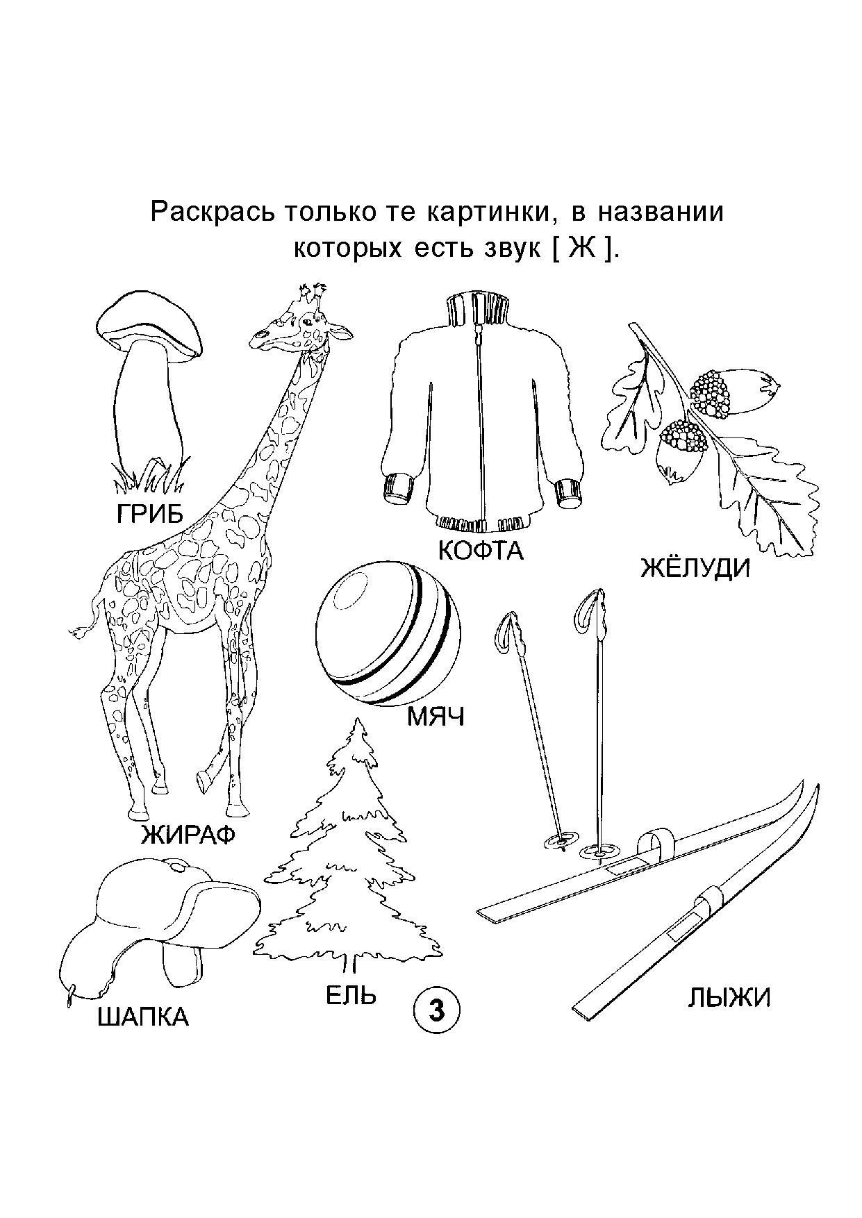 Картинки со звуком ж для детей