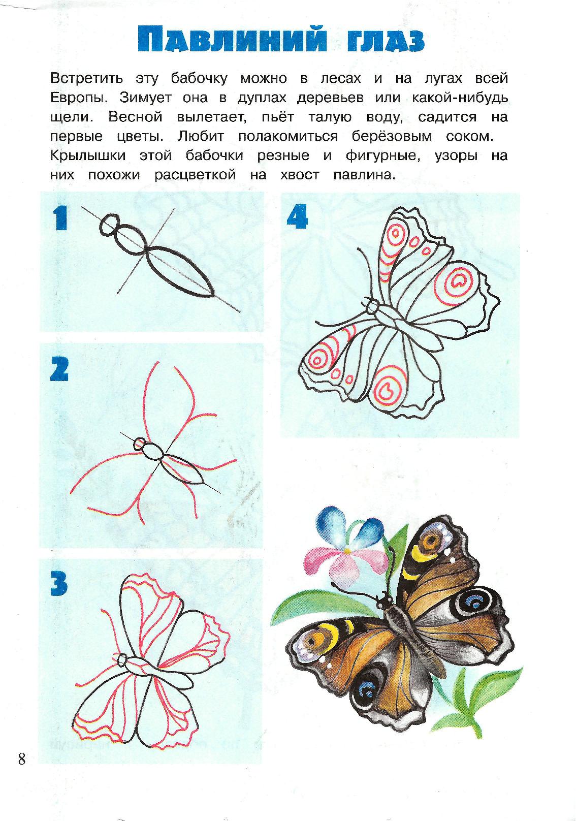 Бабочка на цветке пошагово рисунок