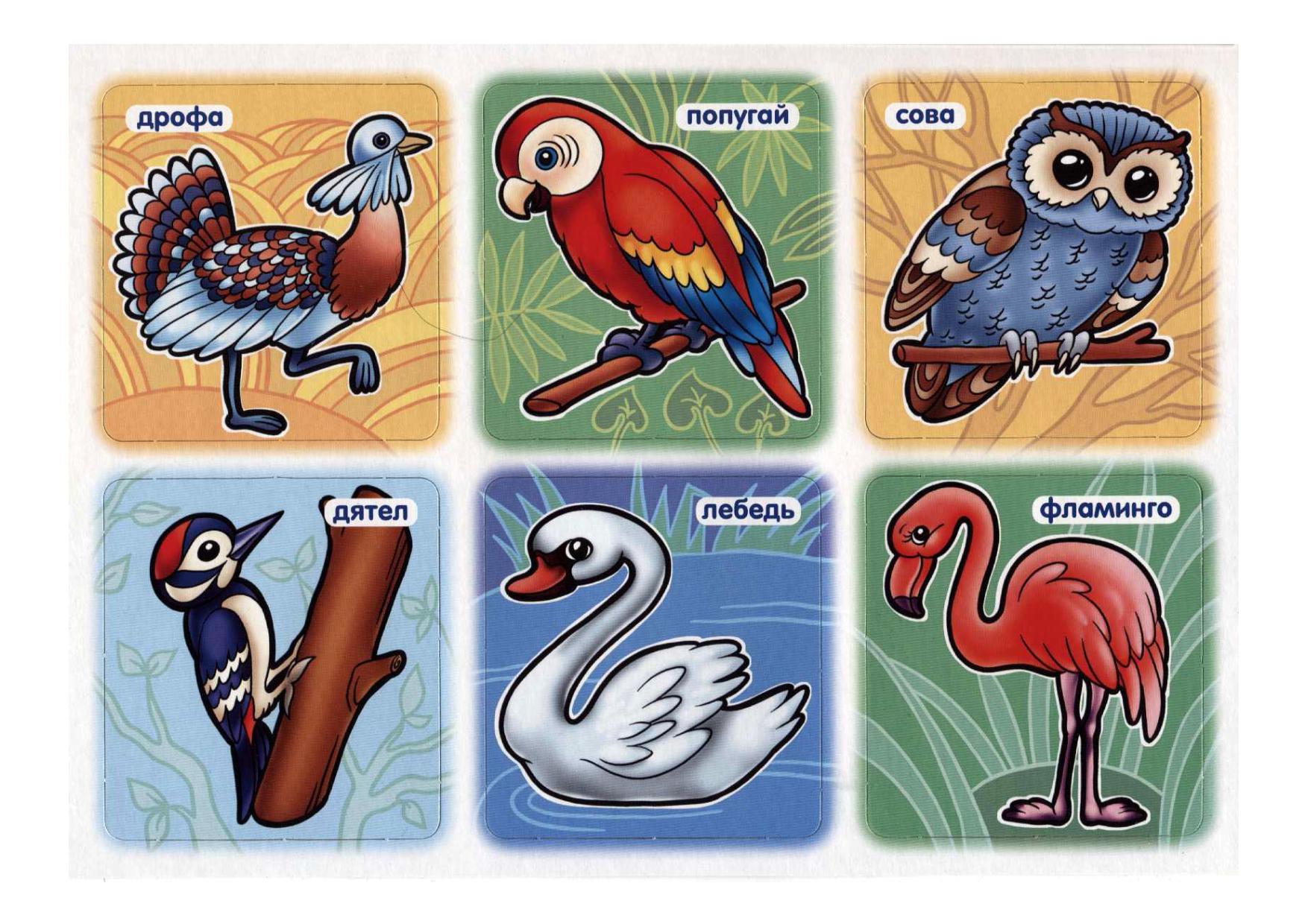 Птички игра для детей. Обучающие карточки для малыша. Лото для детей. Лото "птицы, животные". Лото животные и птицы для детей.