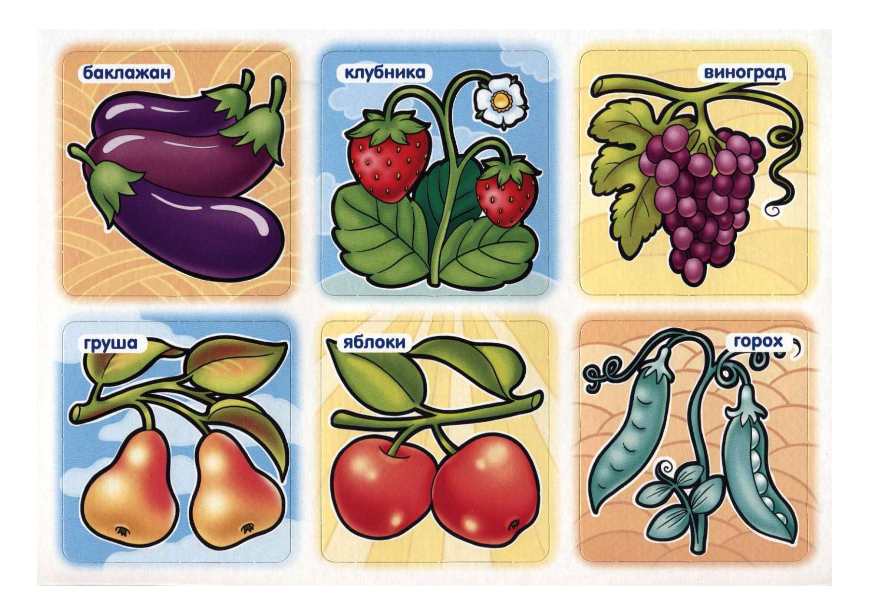 И овощ и ягода 4. Карточки овощей и фруктов для детей. Лото для детей. Лото «овощи-фрукты». Карточки овощи для детей.