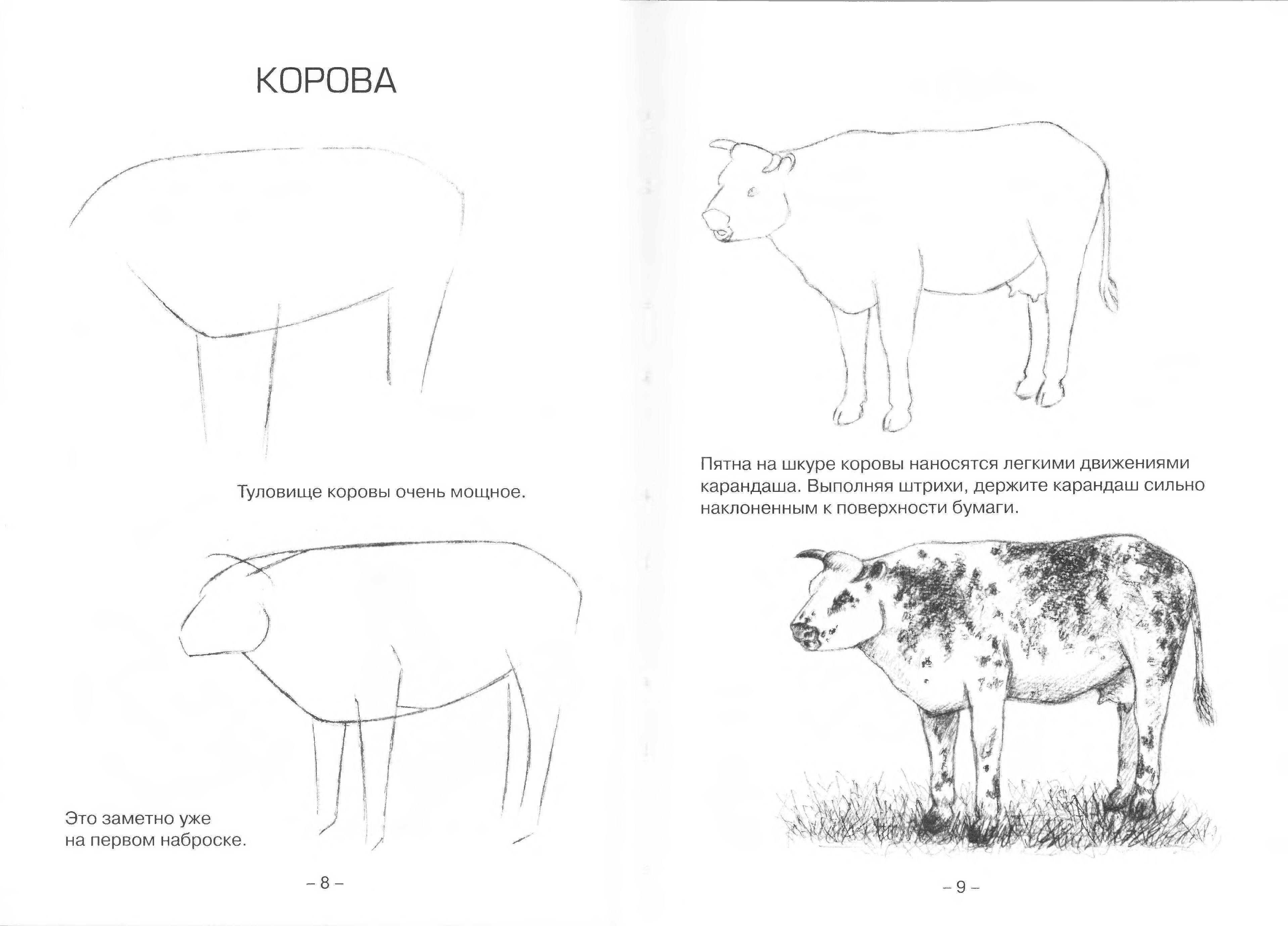 Нарисовать и описать