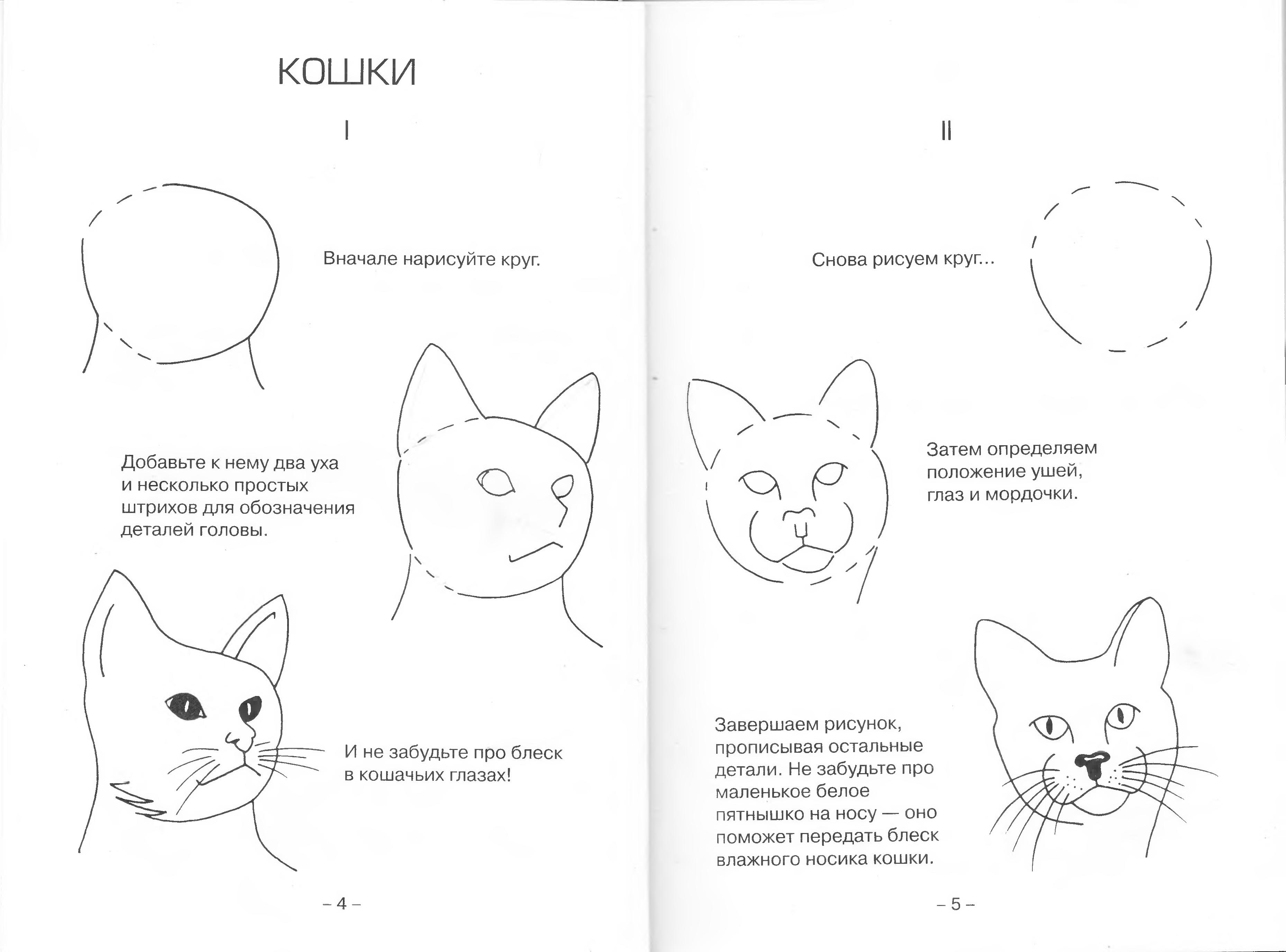 Рисунок котёнка карандашом для детей легкие
