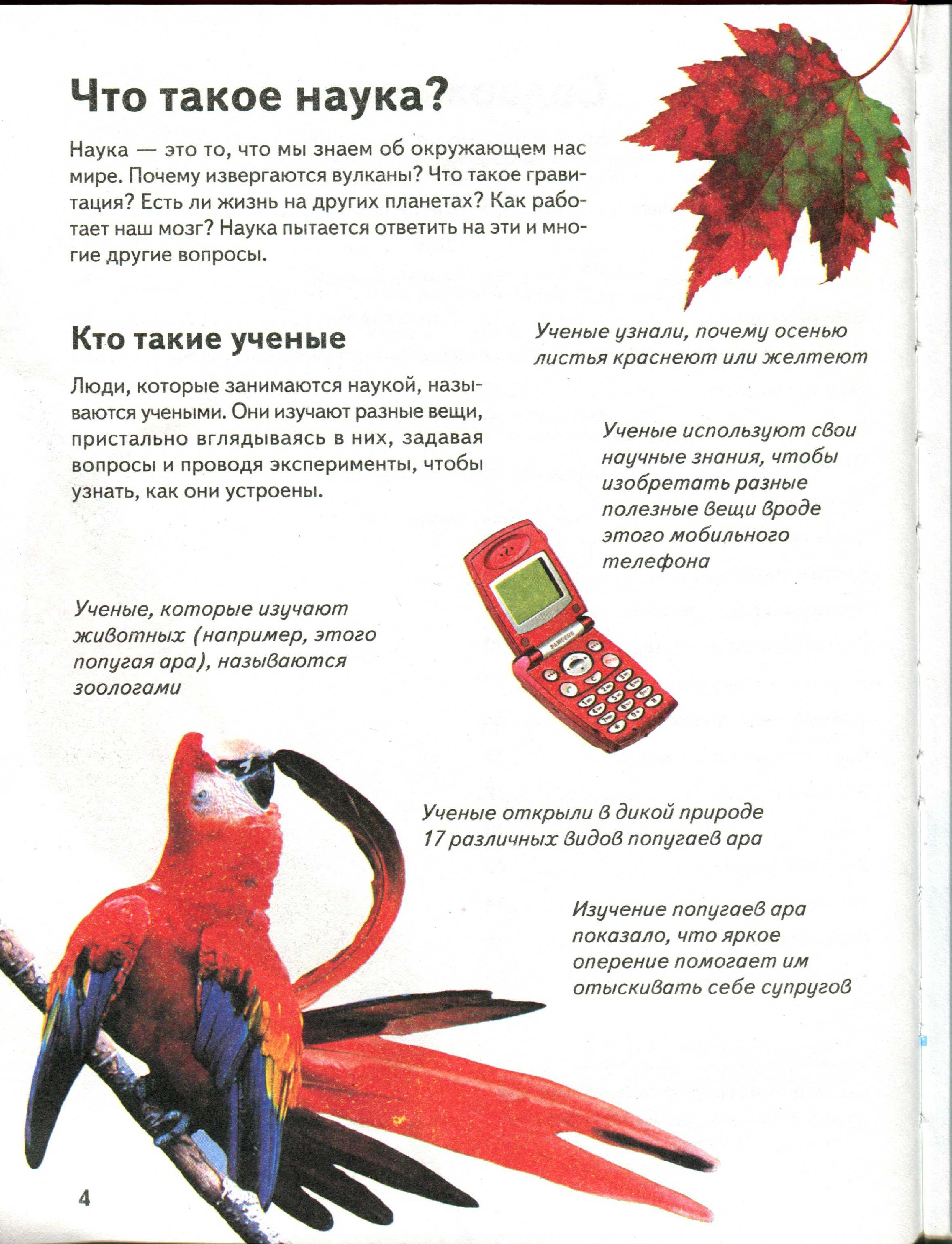 Попугай ара крючком схема и описание