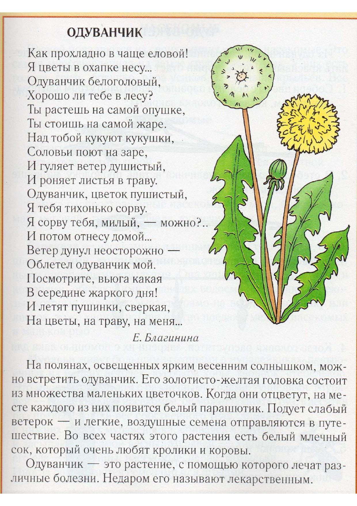 Носит одуванчик желтый сарафанчик стих