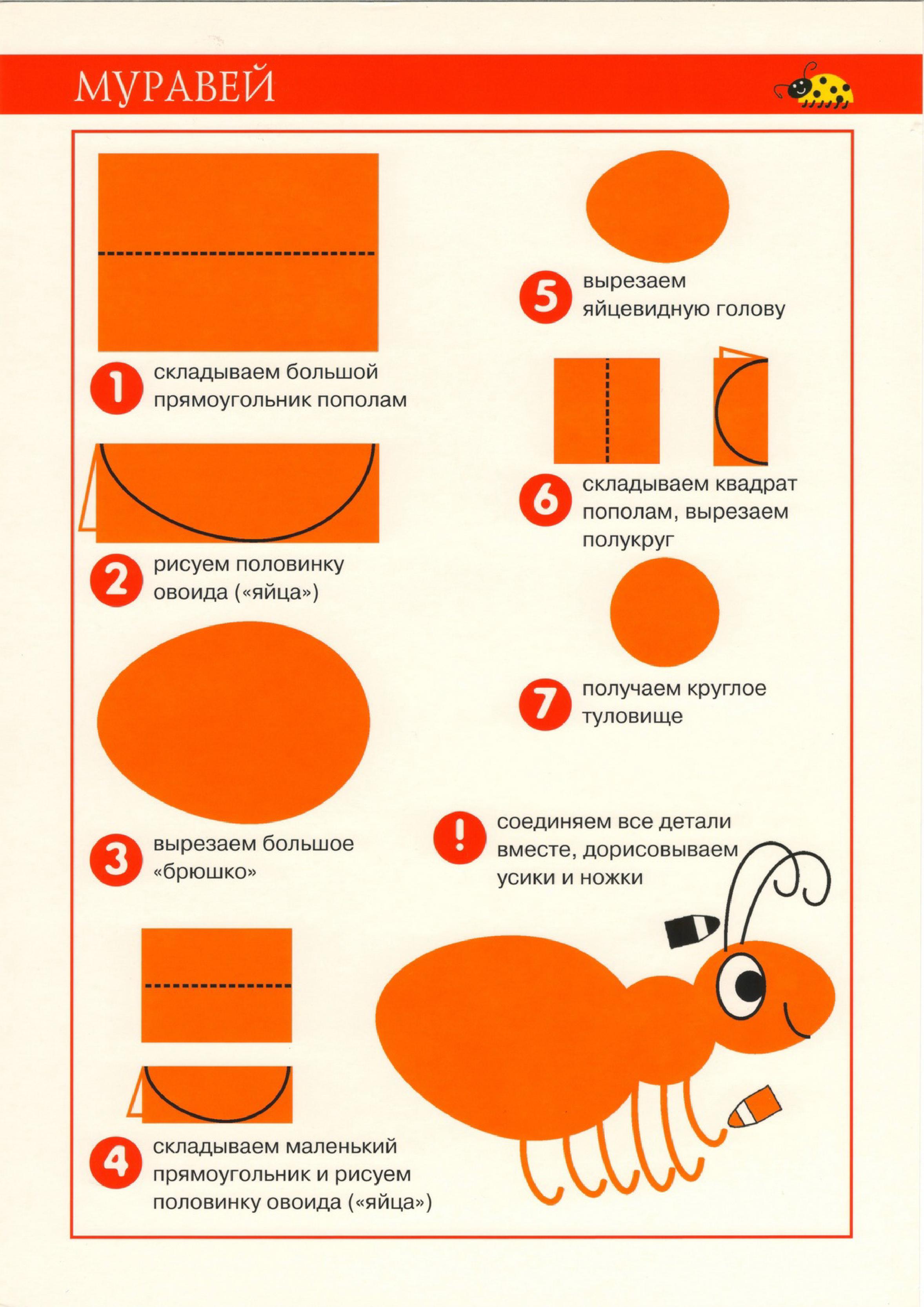 Аппликация поэтапно. Аппликация насекомые. Поэтапная аппликация. Поэтапное аппликация для детей. Схемы аппликация для дошкольников.