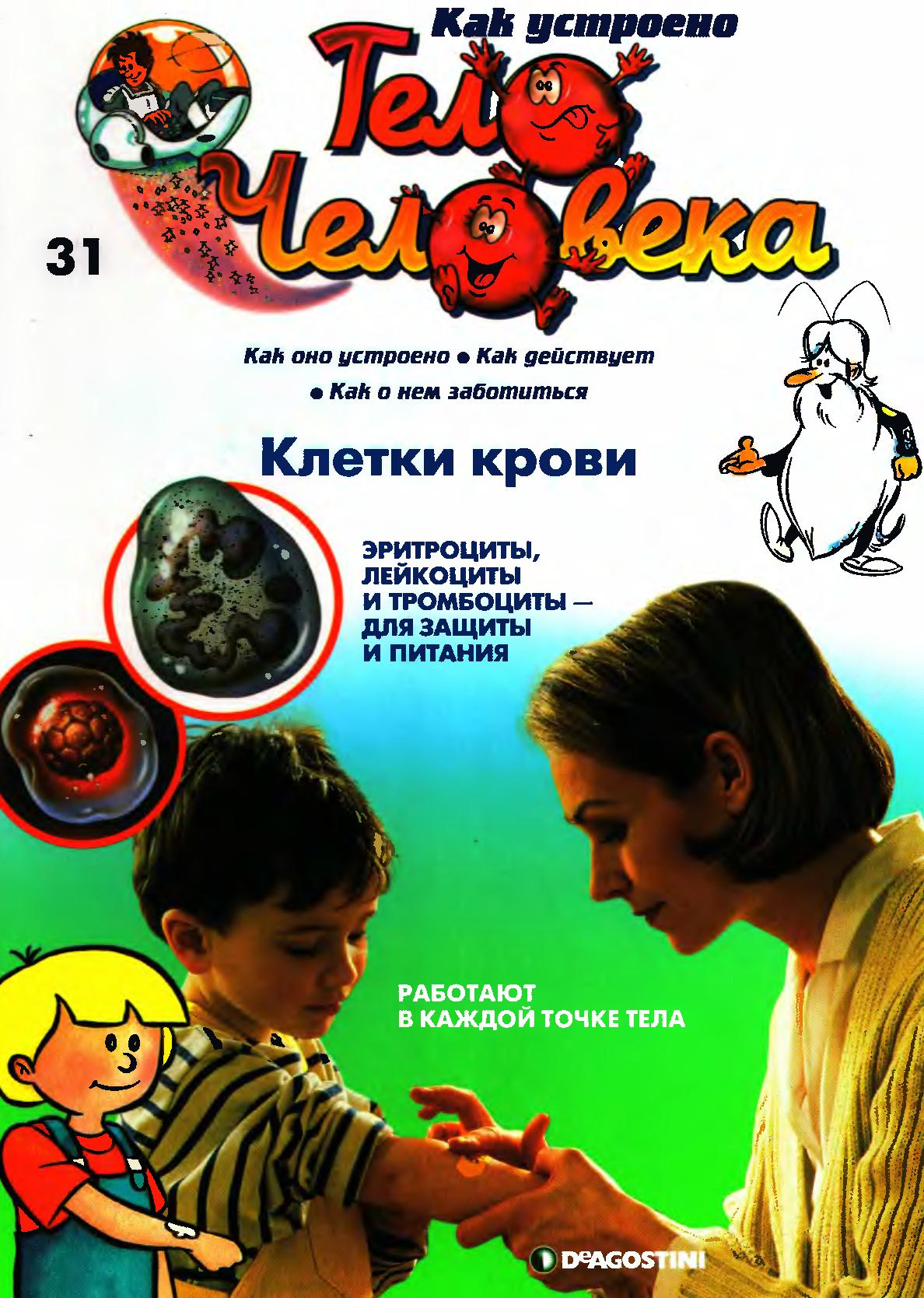 Тело человека. Клетки крови