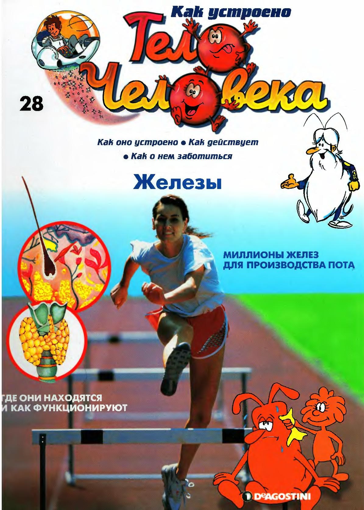 Тело человека. Железы