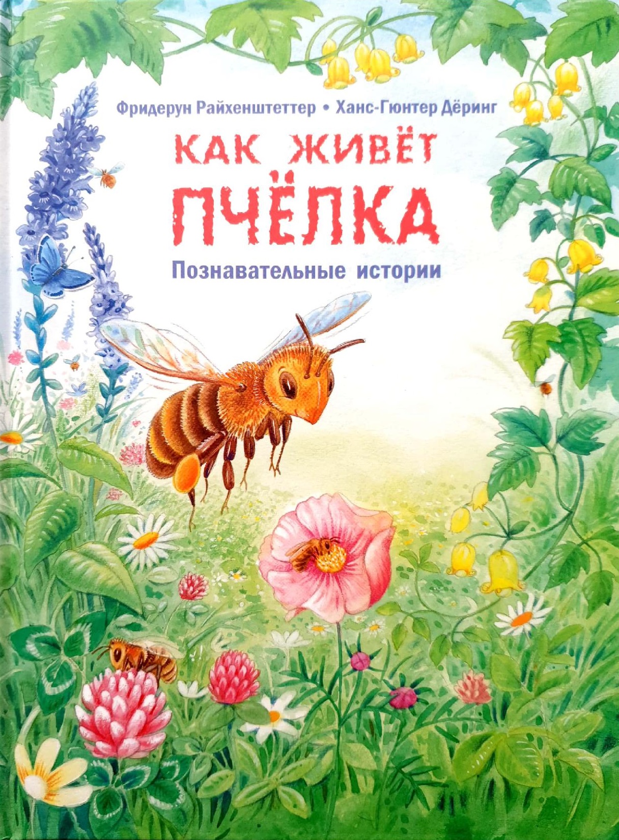 Как живет пчелка