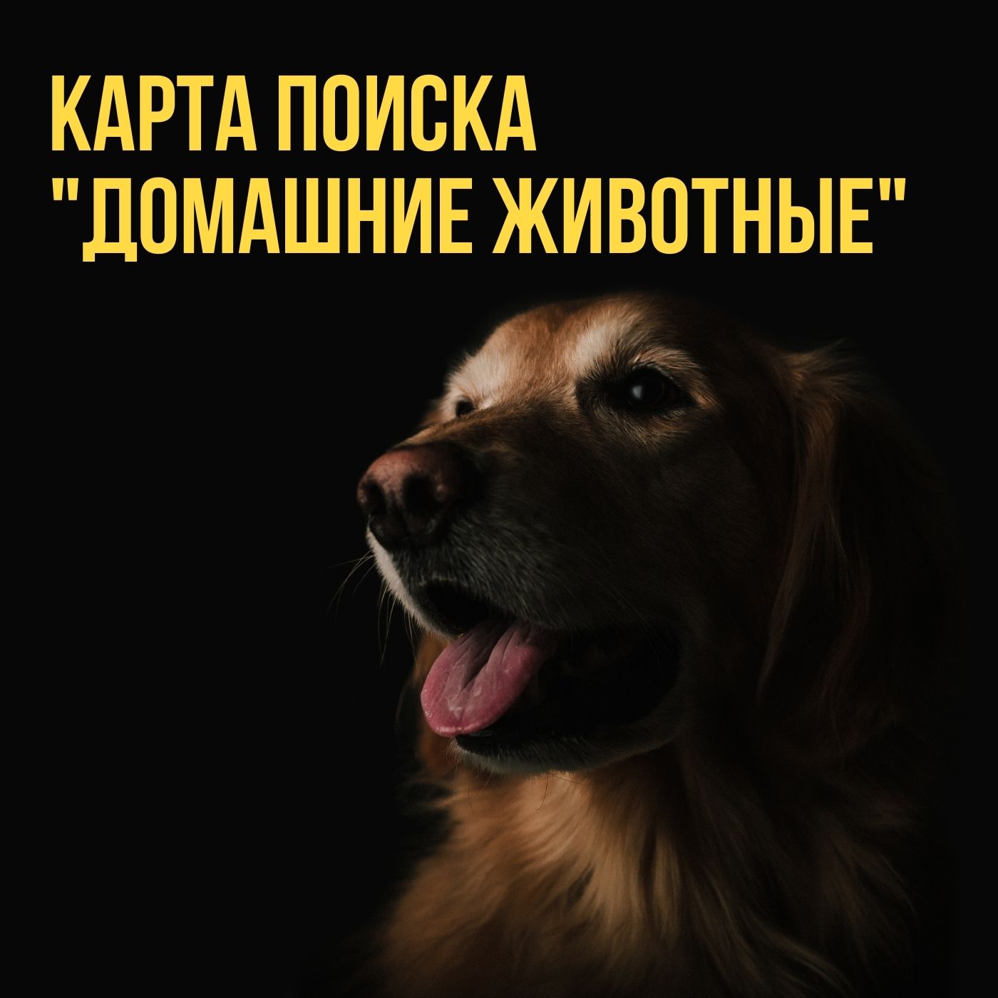 Карта поиска 