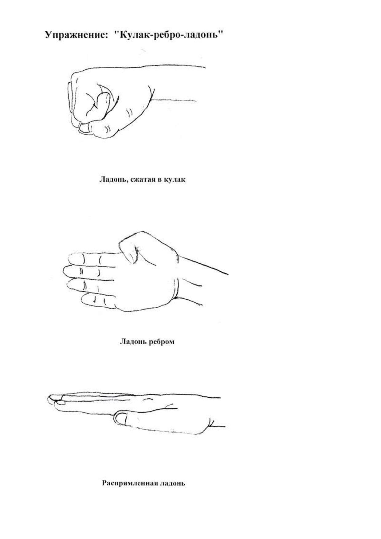 Кулак ребро ладонь. Кинезиологические упражнения кулак ребро. Кулак ребро ладонь упражнение. Кинезиология кулак ребро ладонь. Гимнастика для мозга кулак ребро ладонь.