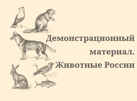 Демонстрационный материал. Животные России