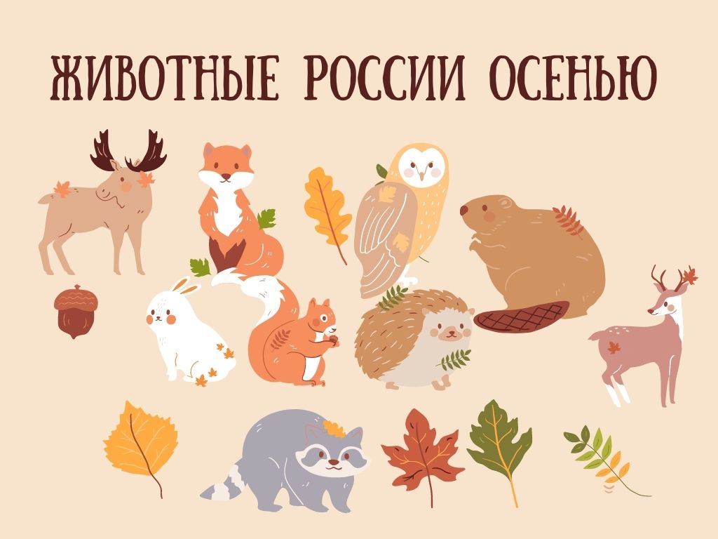 Животные России осенью