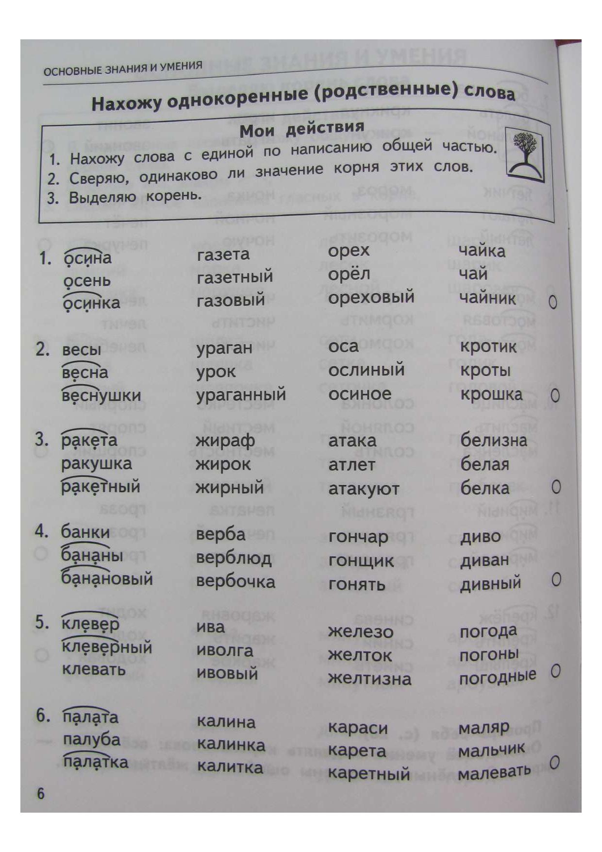 Русский язык. 2 класс. Безударные гласные в корне слова. Тренировочные  задания | Дефектология Проф