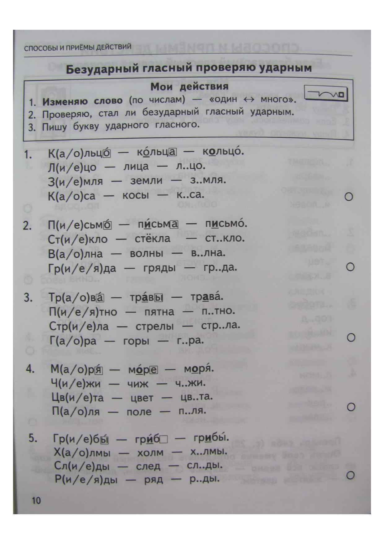 Русский язык. 2 класс. Безударные гласные в корне слова. Тренировочные  задания | Дефектология Проф