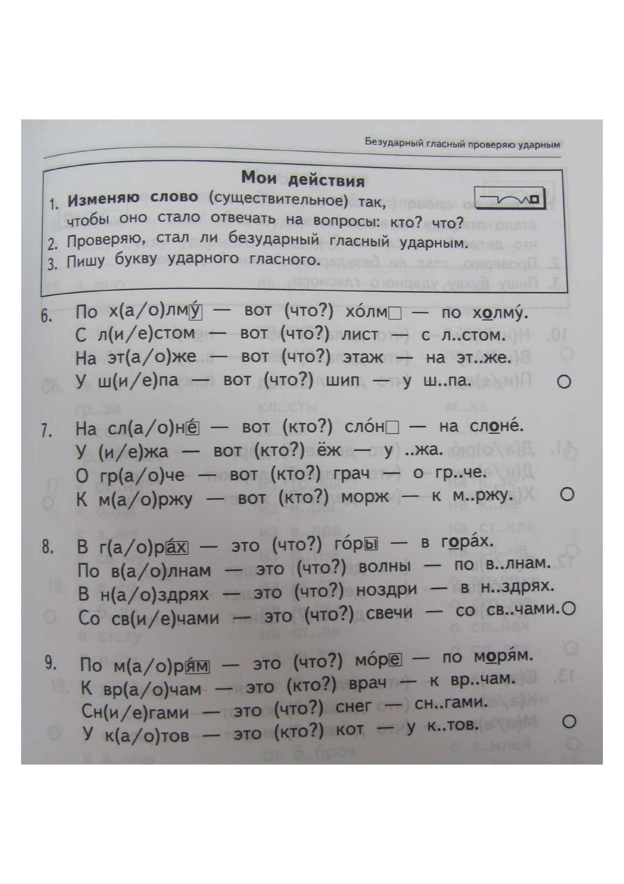 Русский язык. 2 класс. Безударные гласные в корне слова. Тренировочные  задания | Дефектология Проф